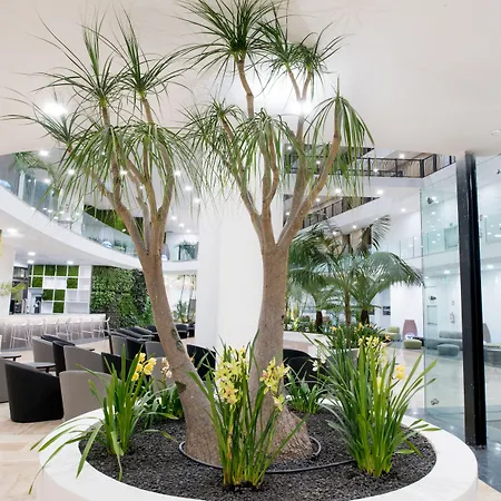 Отель Gf Victoria Адехе